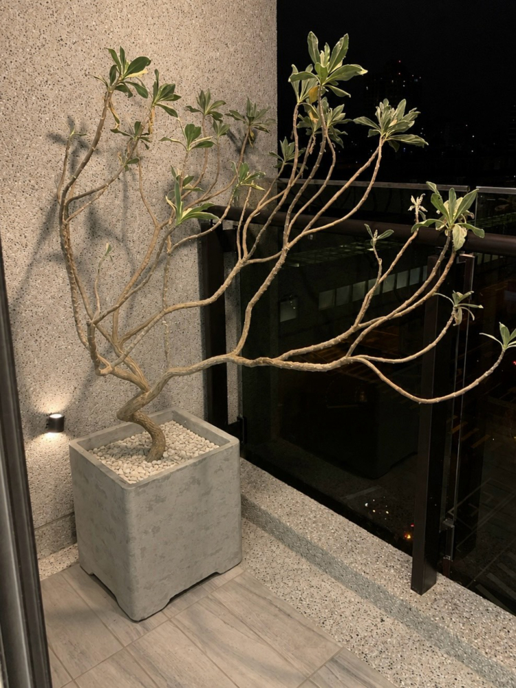 LINE_ALBUM_文心_260806_15
