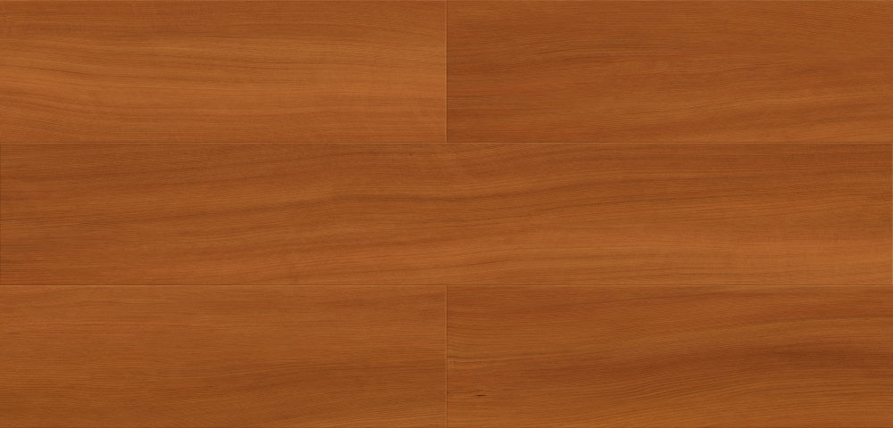 台灣紅檜