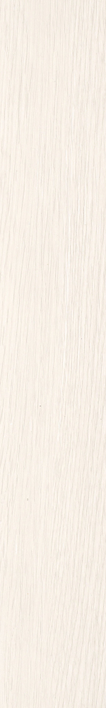 珍珠白橡